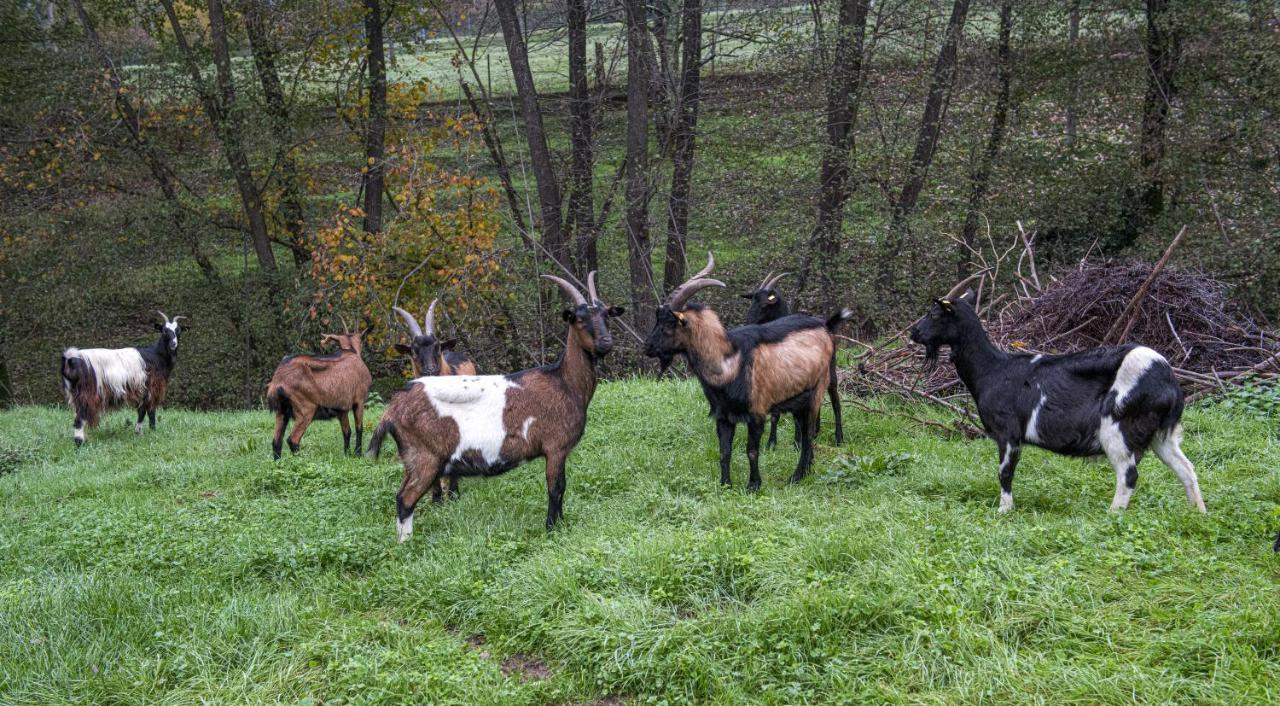 Agriturismo Il Bardellino Фівіццано Екстер'єр фото